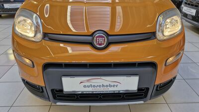 Fiat Panda Gebrauchtwagen