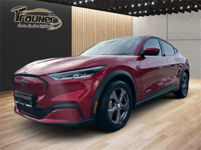 Ford Mustang Mach-E Gebrauchtwagen Ford Mustang Mach-E Gebrauchtwagen