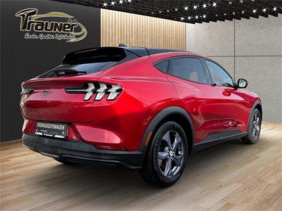 Ford Mustang Mach-E Gebrauchtwagen Ford Mustang Mach-E Gebrauchtwagen