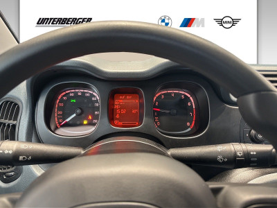 Fiat Panda Gebrauchtwagen Fiat Panda Gebrauchtwagen