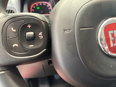 Fiat Panda Gebrauchtwagen Fiat Panda Gebrauchtwagen