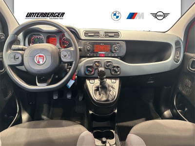 Fiat Panda Gebrauchtwagen Fiat Panda Gebrauchtwagen