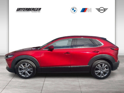 Mazda CX-30 Gebrauchtwagen Mazda CX-30 Gebrauchtwagen
