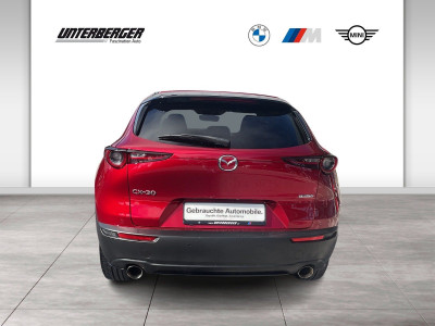 Mazda CX-30 Gebrauchtwagen Mazda CX-30 Gebrauchtwagen