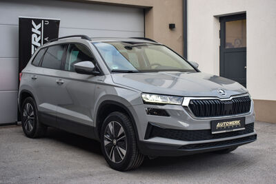 Skoda Karoq Gebrauchtwagen