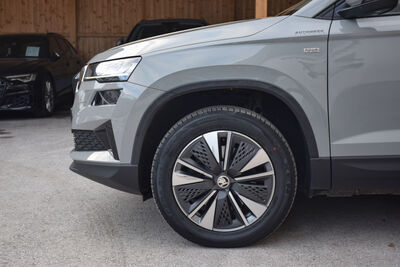 Skoda Karoq Gebrauchtwagen