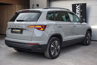 Skoda Karoq Gebrauchtwagen