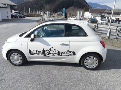 Fiat 500 Gebrauchtwagen