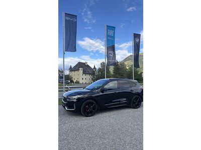 Ford Kuga Gebrauchtwagen Ford Kuga Gebrauchtwagen