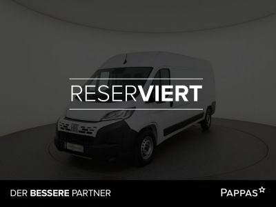 Fiat Ducato Gebrauchtwagen