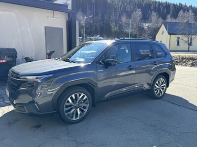 Subaru Forester Vorführwagen Subaru Forester Vorführwagen