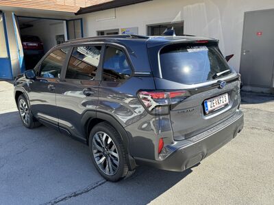 Subaru Forester Vorführwagen Subaru Forester Vorführwagen