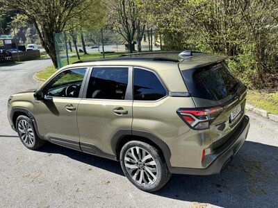 Subaru Forester Vorführwagen