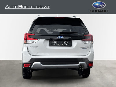 Subaru Forester Gebrauchtwagen Subaru Forester Gebrauchtwagen