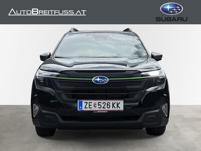 Subaru Forester Vorführwagen Subaru Forester Vorführwagen