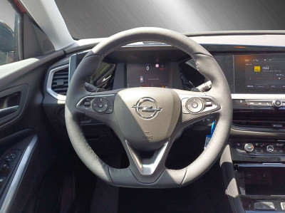 Opel Grandland Tageszulassung