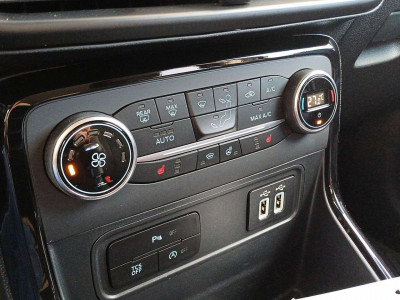 Ford EcoSport Gebrauchtwagen