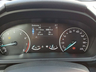 Ford EcoSport Gebrauchtwagen