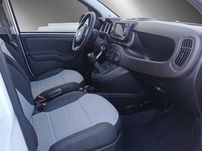 Fiat Panda Gebrauchtwagen