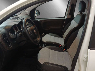 Fiat Panda Gebrauchtwagen