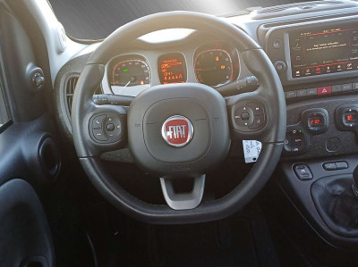 Fiat Panda Gebrauchtwagen