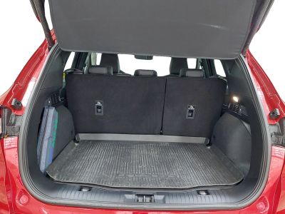 Ford Kuga Vorführwagen