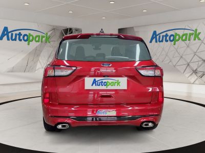 Ford Kuga Vorführwagen