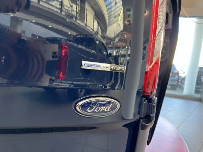 Ford Transit Custom Neuwagen