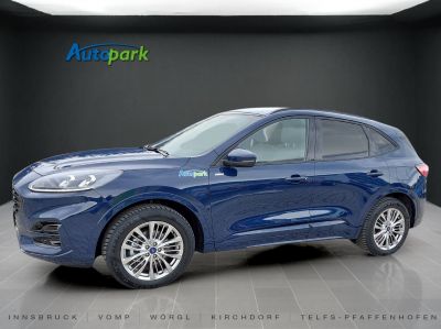 Ford Kuga Vorführwagen