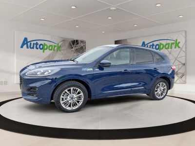Ford Kuga Vorführwagen