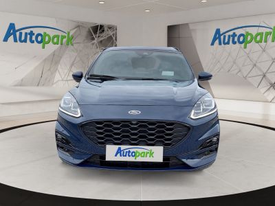 Ford Kuga Vorführwagen