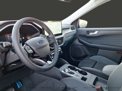 Ford Kuga Vorführwagen