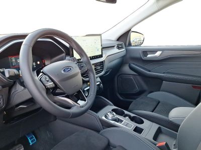 Ford Kuga Vorführwagen