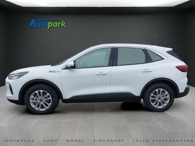 Ford Kuga Vorführwagen