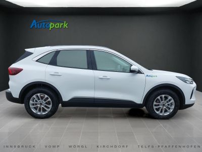 Ford Kuga Vorführwagen