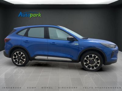 Ford Kuga Vorführwagen