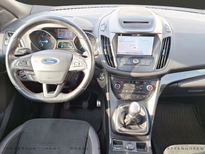 Ford Kuga Gebrauchtwagen