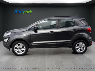 Ford EcoSport Gebrauchtwagen