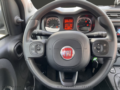 Fiat Panda Gebrauchtwagen