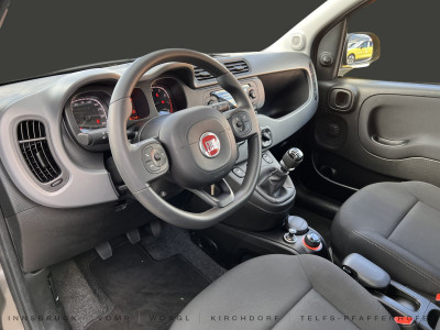 Fiat Panda Gebrauchtwagen