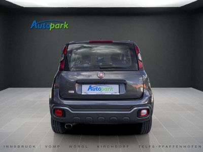 Fiat Panda Gebrauchtwagen