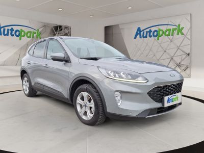 Ford Kuga Gebrauchtwagen Ford Kuga Gebrauchtwagen
