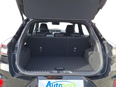 Ford Puma Vorführwagen