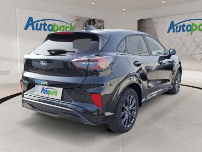 Ford Puma Vorführwagen