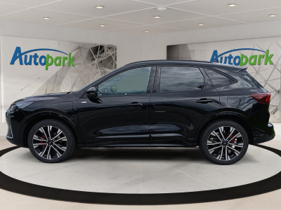 Ford Kuga Vorführwagen