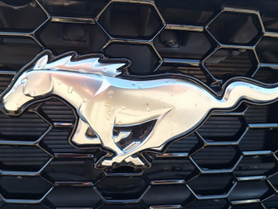 Ford Mustang Vorführwagen