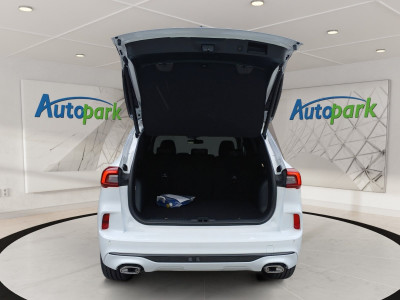 Ford Kuga Vorführwagen