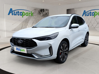 Ford Kuga Vorführwagen