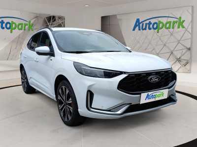 Ford Kuga Vorführwagen