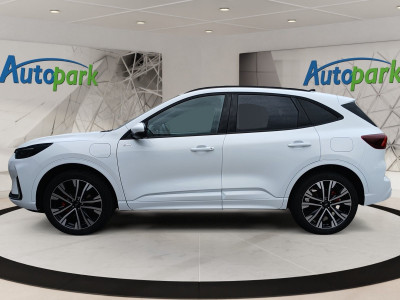 Ford Kuga Vorführwagen